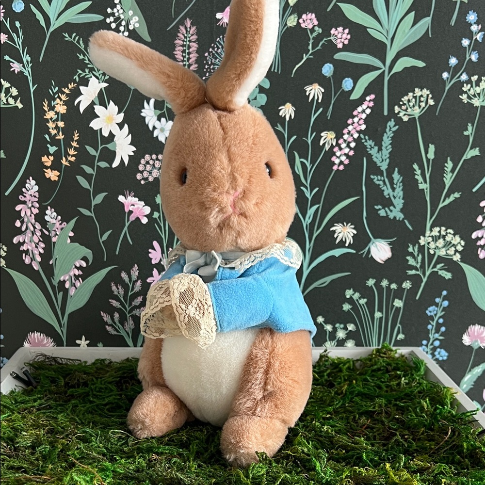 VINTAGE Peter Rabbit Beatrix Potter Eden plush toy R. Dakin company 1980’s
